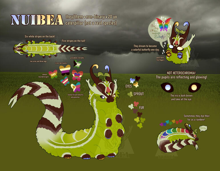 Nuibea, my fursona, reference sheet